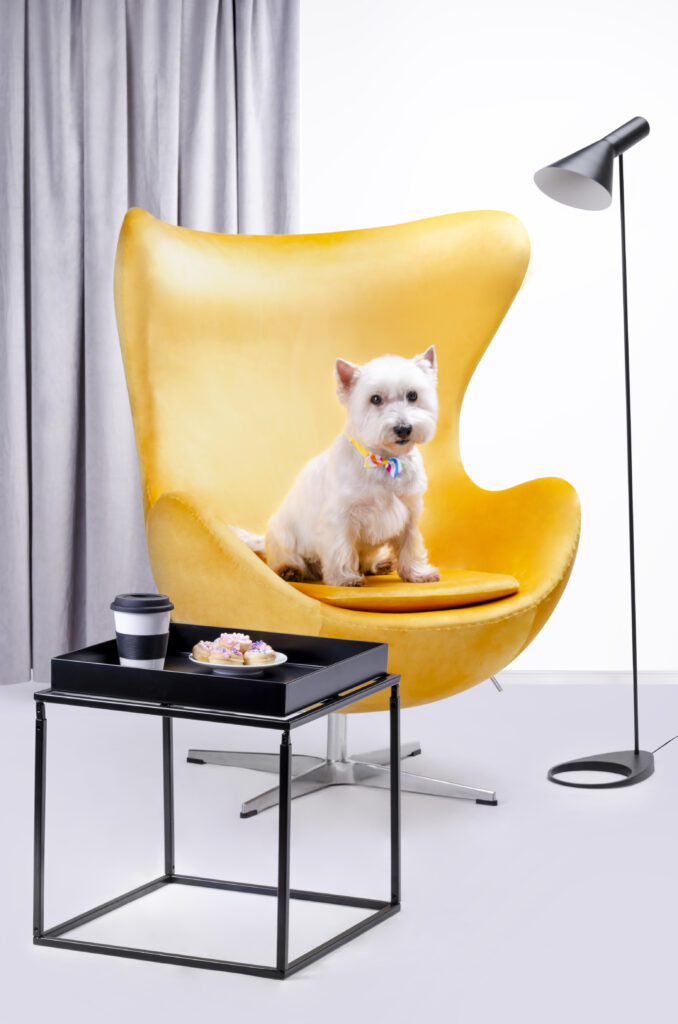 yellow egg chair